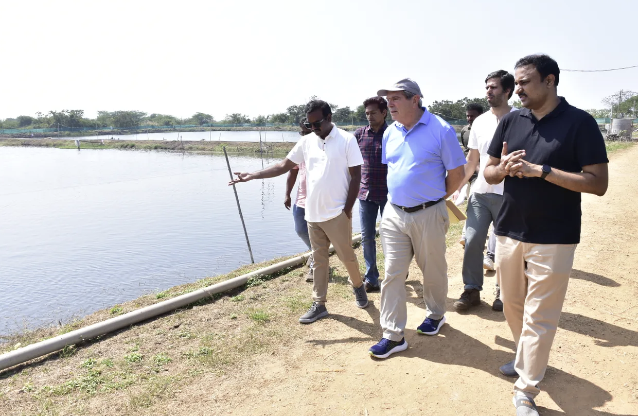 Por qué las acusaciones de abuso deberían provocar un replanteamiento del sector camaronero indio